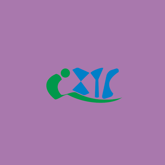 上海國(guó)際智慧公交技術(shù)裝備展覽會(huì)介紹
