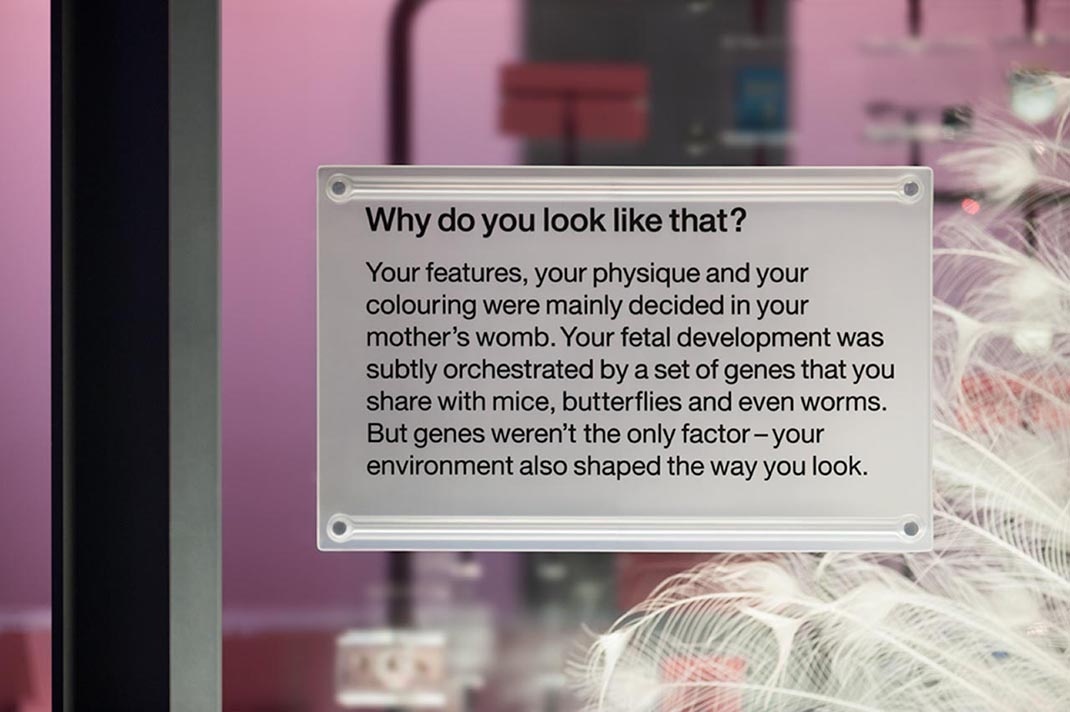 深圳展廳設計 科學(xué)博物館展廳設計