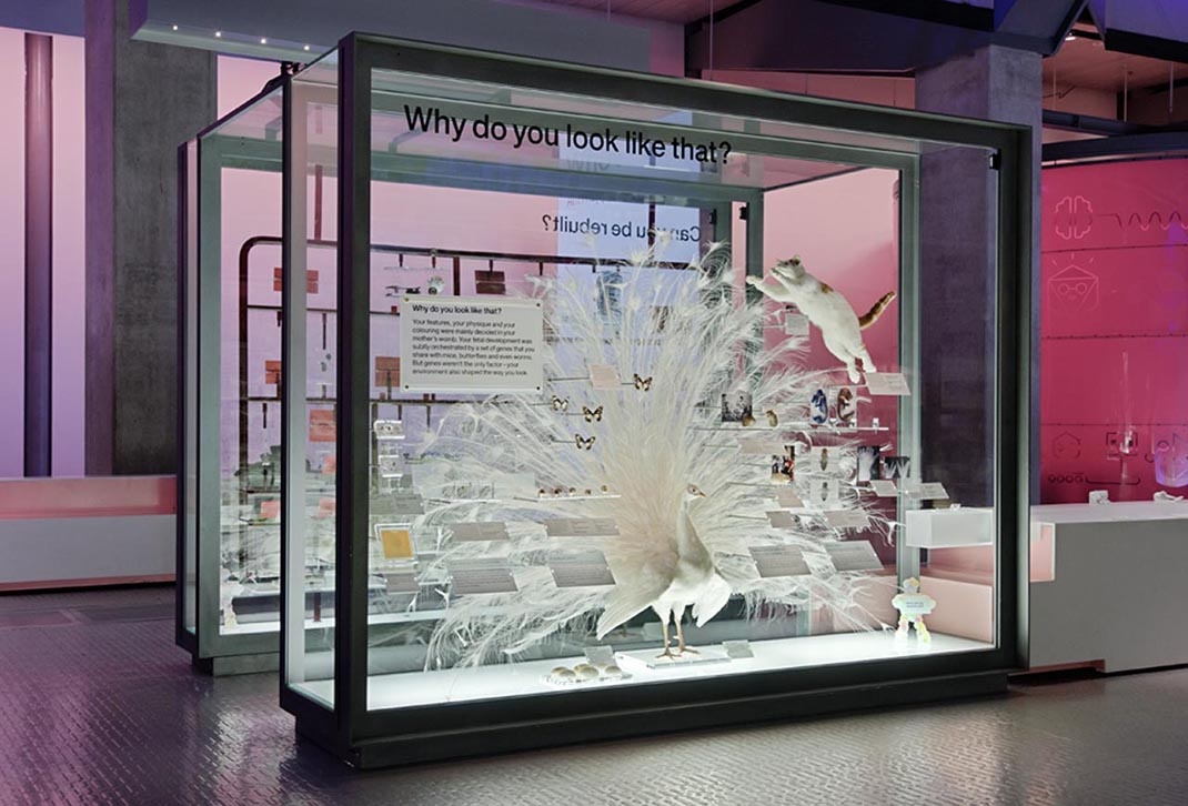 深圳展廳設計 科學(xué)博物館展廳設計