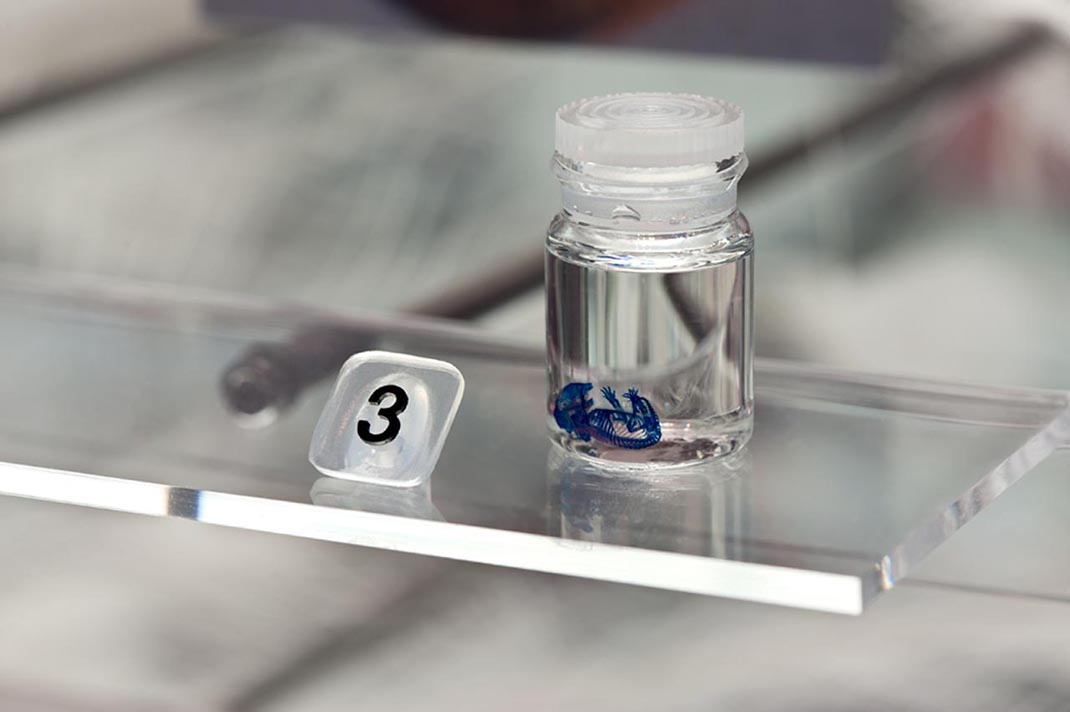 深圳展廳設計 科學(xué)博物館展廳設計