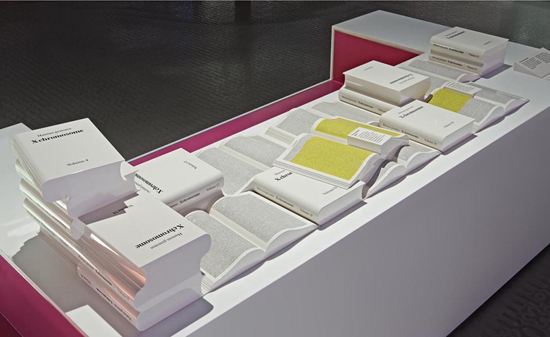深圳展廳設計 科學(xué)博物館展廳設計