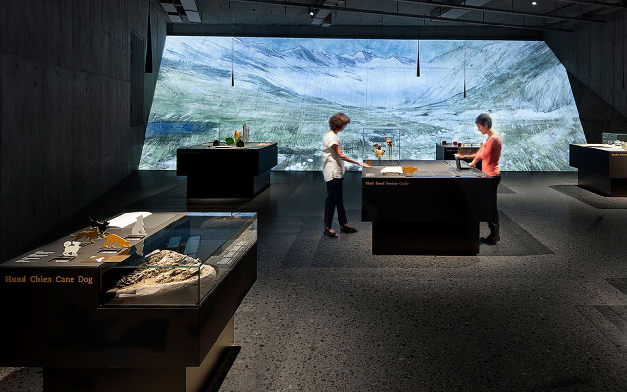 博物館設計 博物館設計