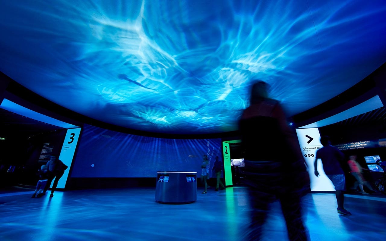 海洋館設計 海洋館設計