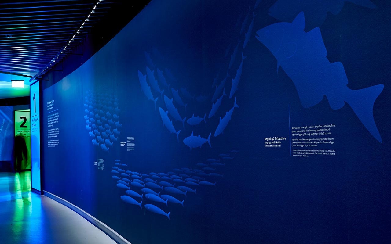 海洋館設計 海洋館設計