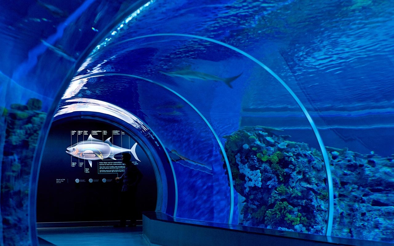 海洋館設計 海洋館設計