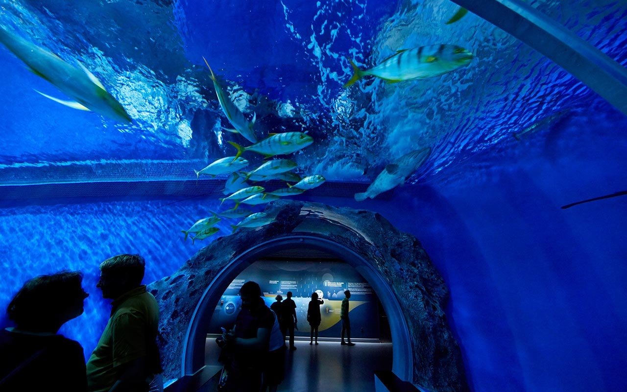 海洋館設計 海洋館設計