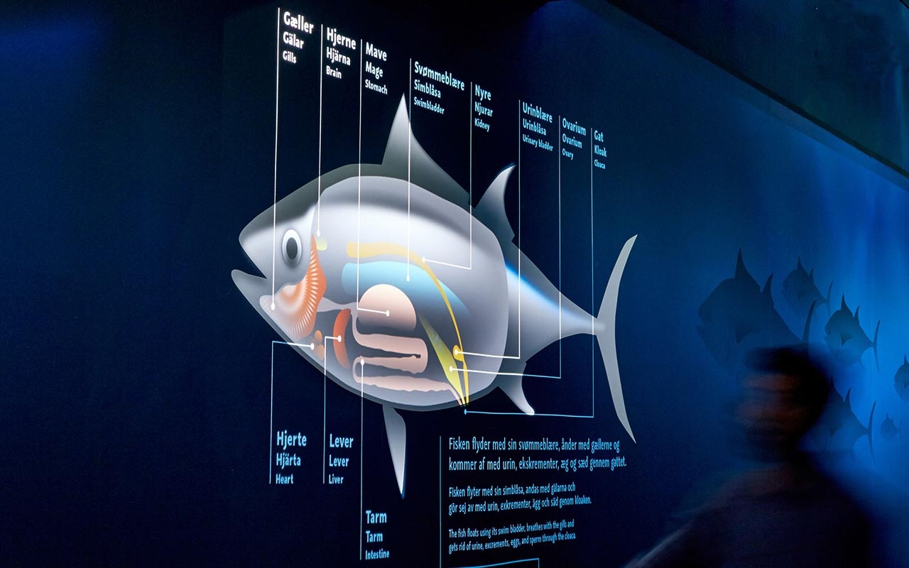 水族館設計 水族館設計