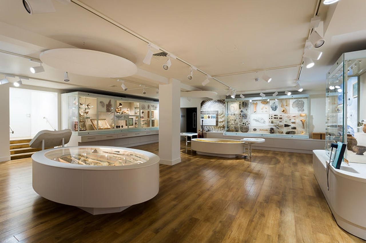 博物館設計 博物館設計